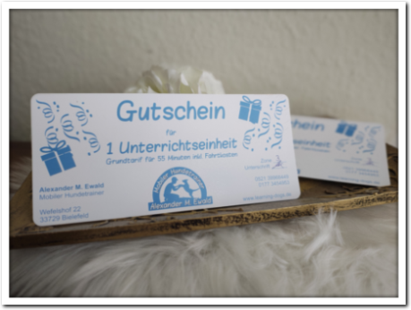 Gutschein Hundetraining Gutschein Hundetraining