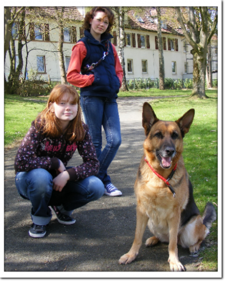 Hundetraining Herford Hundetraining Herford