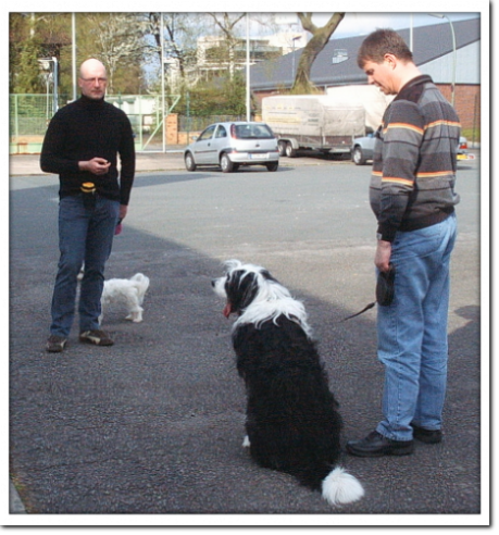 Hundetraining Herford