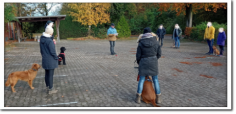 Hundetraining Herford