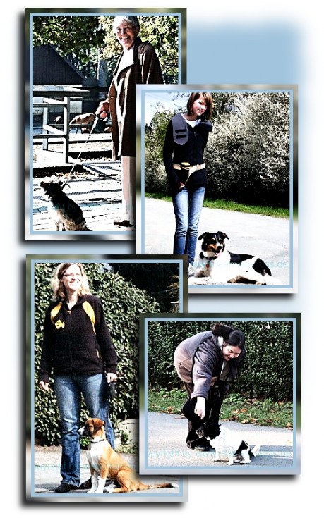 Hundetraining Bielefeld Hundetraining Bielefeld